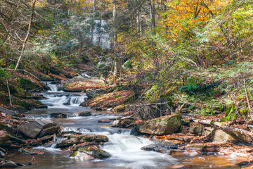 Cascades just downstream from the Erie Falls in autumn. Ricketts Glen State Park. Pennsylvania