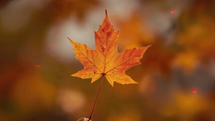 Obraz premium Autumn leaf captured in fall with warm colors and blurred background. Nature and seasonal scene. The concept of autumn, nature, and seasonal change.