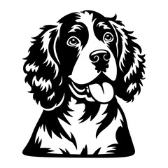 American Water Spaniel