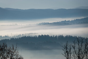 Fototapeta premium SILHOUETTE: Soft fog fills valleys, gently covering layers of forest and distant hills. The pale morning light and delicate haze create a peaceful and poetic natural landscape full of calm and depth.