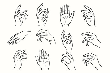 Lines subtle elegant palm open fingers bent hand gestures icons vector icon