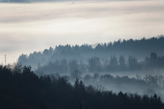 SILHOUETTE: Thick fog drifts between forested hills of quiet mountain valley. Layers of trees fade softly into the mist, creating a tranquil and moody landscape with a calm winter morning atmosphere.