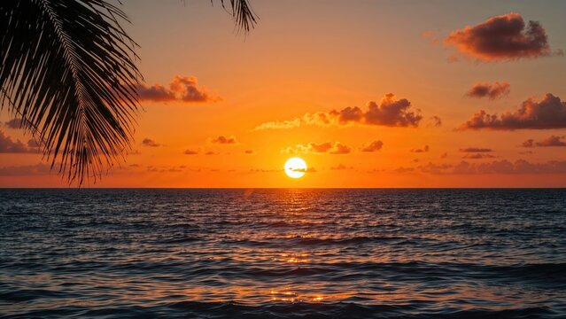 Sunset over the ocean with vibrant colors, clouds, and a silhouette of a palm leaf in the foreground.