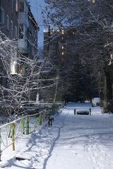 winter in the city