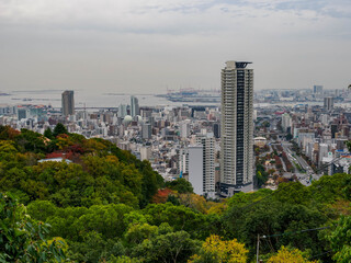 神戸布引の見晴らし展望台より神戸市街地と海を眺める