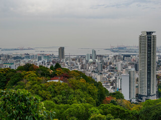 Obraz premium 神戸布引の見晴らし展望台より神戸市街地と海を眺める