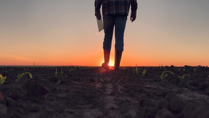 Farmer feet in rubber boots walking through field with tablet in hand. Farmer with digital tablet walks through field of green sprouts. Farm owner works on plantation grows food. Agricultural business