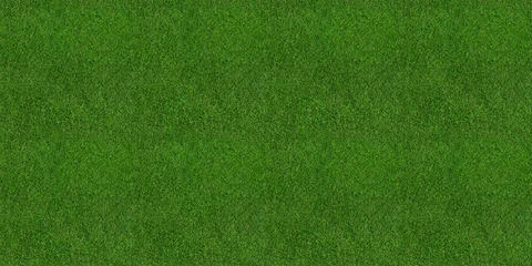Fototapete Grün Green grass seamless background texture. Aerial top view of green turf surface from a garden lawn, football pitch, sports field.  © Lawrey