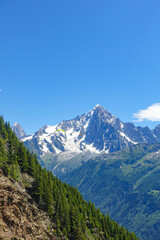 Among the Forest of the French Alps in the Summer