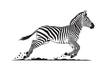 Obraz premium Dynamic black and white illustration of a running zebra