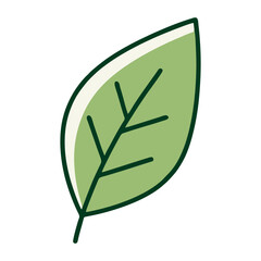 vector green leaf isolated on white background