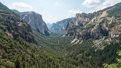 Vast canyon landscape with steep cliffs and dense forested valley under blue sky. Mountain scenery, nature, and wilderness.