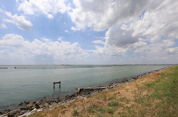 Adriatic Sea in Scardovari and the mollusk farm invaded by blue crabs
