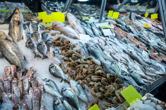 Variety of fish and shellfish on ice at seafood stall. Colorful seafood counter with fresh fish and crustaceans. Assorted seafood selection on ice at fish market.
