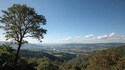 Obraz premium Scenic view of nature from a hilltop with trees and distant rolling hills, showcasing the landscape and sky.