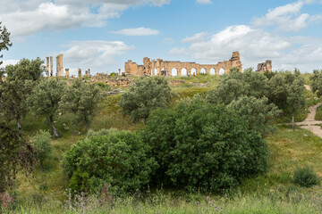 Ruins at the archaeological site of Volubilis, an antique Roman city and UNESCO World Heritage Site, Morocco