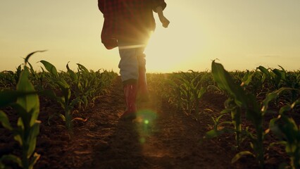 Child farm girl running through corn field at sunset. Girl child enjoying happy childhood slow motion. Child run in rubber boots through green field of sprouts in sun rays. Kid dream playing in nature