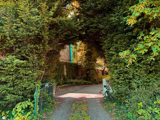 A path leads through an archway formed by lush greenery. Sunlight filters through the leaves, creating a warm and inviting atmosphere in Clayton, Bradford, UK
