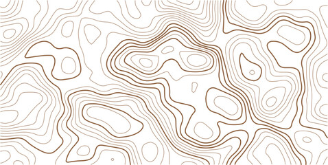 Abstract topo contour map on white background, Topo with elevation. The concept of a conditional geography scheme and contour line map image.Vintage outdoors style wallpaper. 