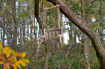 Bird Feeder Shaped Like Mini Bench in Autumn Forest