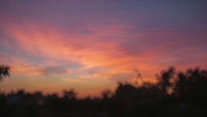 Fototapeta premium Colorful sunset sky with clouds and silhouettes of trees at dusk.