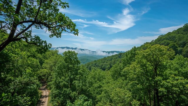 Lush green forest landscape with a clear blue sky and distant mountains, showcasing the beauty of nature and serene wilderness. - Powered by Adobe