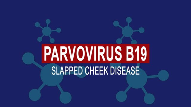 Parvovirus B19 slapped cheek disease. Medical news alert headline virus animation background. Health concept.