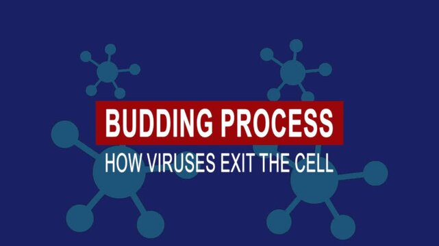 Budding process how viruses exit the cell. Medical news alert headline virus animation background. Health concept.