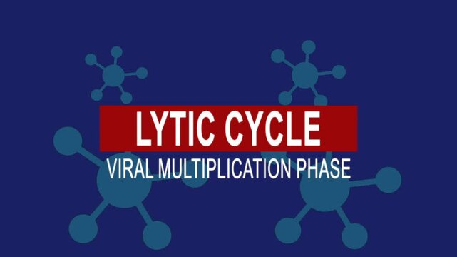 Lytic cycle viral multiplication phase. Medical news alert headline virus animation background. Health concept.
