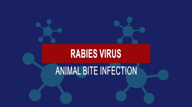 Rabies virus animal bite infection. Medical news alert headline virus animation background. Health concept.
