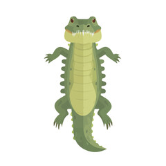Crocodile — flat 2D vector artwork created in a clean, modern, and minimal style on white background.