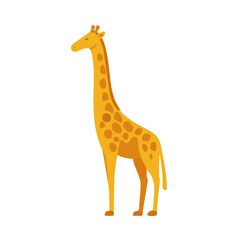 Obraz premium 2D minimalist flat vector of a Giraffe, contemporary clean design isolated on white.