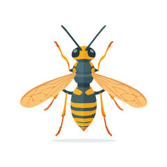 A simple and modern flat 2D vector of a Hornet, isolated on a pure white background.