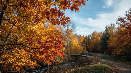 Autumn landscape with colorful fall leaves, a river, and a bridge in a forested area. Nature scenery and seasonal colors.
