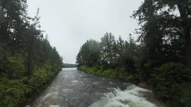 Reserva forestal la Yeguada