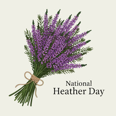 A vibrant bouquet of purple heather flowers tied with twine.