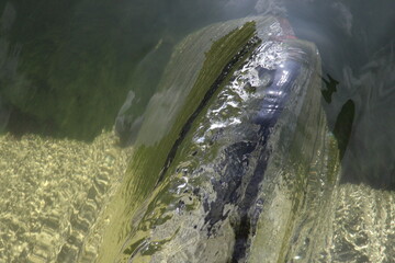 Wasserstrudel am Wehr