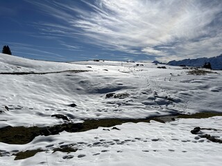 Accelerated melting of fresh snow cover in the Swiss Alps caused by climate change and global warming, Switzerland - Beschleunigtes Abschmelzen der Neuschneedecke in den Schweizer Alpen