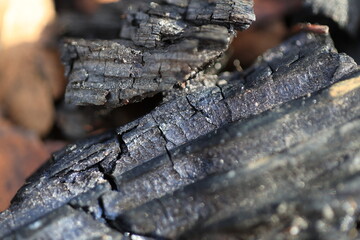 Close-up of charred wood fragments, black and cracked, with metallic sheen under bright light. Blurred brown background suggests outdoor setting.