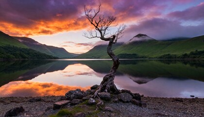 Tree and Lake Reflected at Colorful Sunset