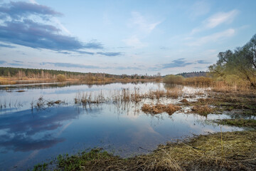 Calm lake with a cloudy sky in the background