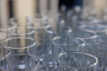 Sparkling glasses ready for a joyful gathering on a sunny afternoon