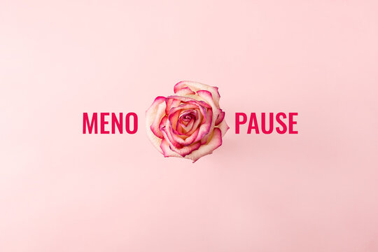 The word menopause and fading rose flower on pink background. Minimal concept HRT hormone replacement therapy. Selective focus, copy space