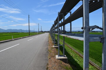 Naklejka premium 農道と田園風景 山形県庄内