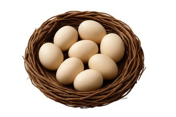 Many brown eggs resting in bird nest on transparent background