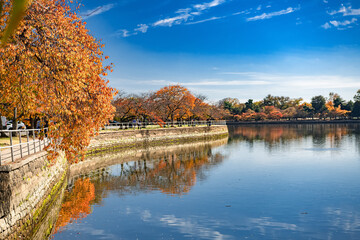 Bright fall day in a public park with pond and vibrant foliage