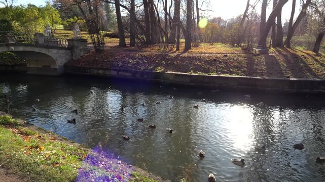 View of Pavlovsk Imperial Palace from the Slavyanka River and Centaurs Bridge on a sunny autumn day, suburb of St. Petersburg, Russia
