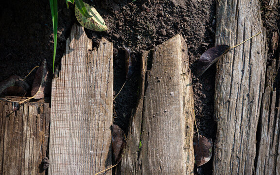 Weathered wooden planks with a pronounced natural texture, partially covered with soil and dry leaves. Sunlight highlights the cracks, grain patterns, and aged surface of the wood. 