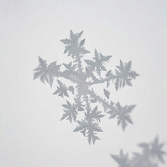 Frost Crystals Forming Delicate Patterns on Window Glass

