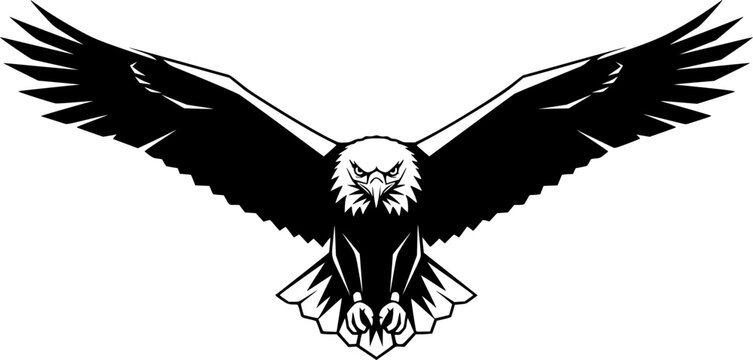 buzzard silhouette line art vector illustration with a white background
